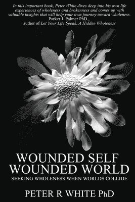 Wounded Self Wounded World: Seeking Wholeness When Worlds Collide 1