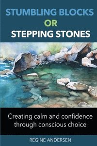 bokomslag Stumbling Blocks or Stepping Stones