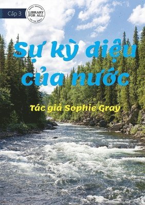 Sophie Gray - Wonderful Water - Sự kỳ diệu của nước, Häftad