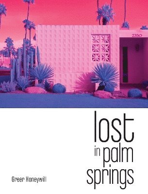 bokomslag Lost in Palm Springs