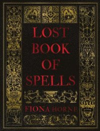 bokomslag Lost Book of Spells