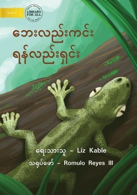 bokomslag Safe And Sound - ??????????? ????????????