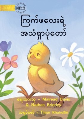 Mairead Davis, Nathan Brierley, Mairead Davis - How The Rooster Found His Sound - ကြက်ဖလေးရဲ့ အသံရှာပုံတော်, Häftad