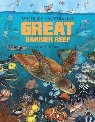 Wildlife of Australia's Great Barrier Reef 1