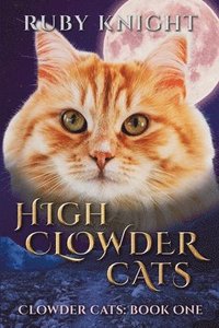 bokomslag High Clowder Cats