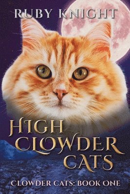 High Clowder Cats 1