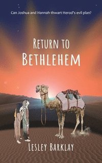 bokomslag Return to Bethlehem