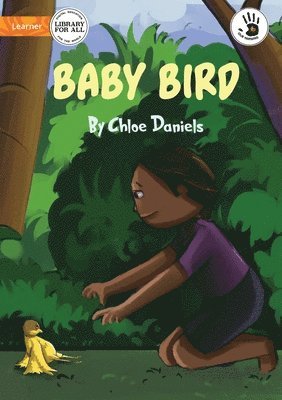 Baby Bird - Our Yarning