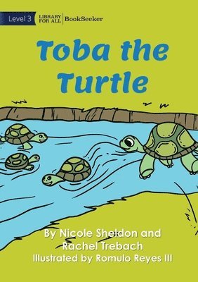 Toba The Turtle 1