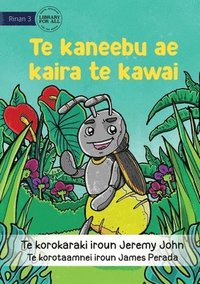 bokomslag The Insect that Led the Way - Te kaneebu ae kaira te kawai (Te Kiribati)