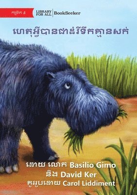 Basilio Gimo, David Ker - Why Hippos Have No Hair - ហេតុអ្វីបានជាដំរីទឹកគ្មានសក់, Häftad
