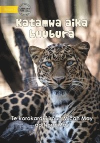 bokomslag Big Cats - Katamwa aika buubura (Te Kiribati)