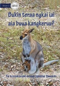 bokomslag Why Do Kangaroos Have A Pouch - Bukin teraa ngkai iai aia buua Kangkeruu? (Te Kiribati)