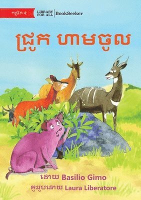 Basilio Gimo - No Pigs Allowed - ជ្រូក ហាមចូល, Häftad