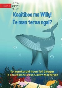 bokomslag Meet Willy - Kaaitiboo ma Willy! Te man teraa Ngai? (Te Kiribati)