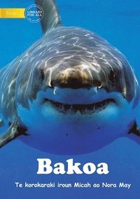 bokomslag Sharks - Bakoa (Te Kiribati)