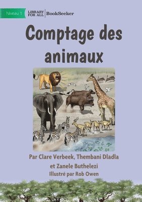 Counting Animals - Comptage des animaux 1