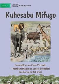 bokomslag Counting Animals - Kuhesabu Mifugo