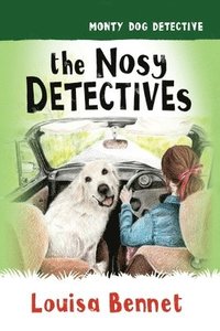 bokomslag The Nosy Detectives
