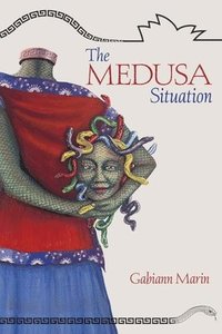 bokomslag Medusa Situation