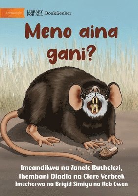 Zanele Buthelezi Et Al, Zanele Buthelezi et al - What Type Of Teeth? - Meno aina gani?, Häftad