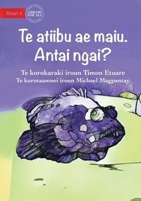 bokomslag The Living Stone. What am I? - Te atiibu ae maiu. Antai ngai? (Te Kiribati)