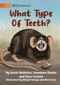 bokomslag What Type Of Teeth?