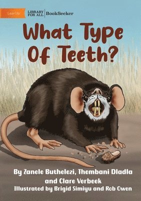 What Type Of Teeth? 1