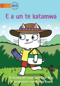 bokomslag The Cat Gets Mad - E a un te katamwa (Te Kiribati)