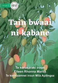 bokomslag Seasons for Everything - Tain bwaai ni kabane (Te Kiribati)