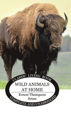 Wild Animals at Home 1