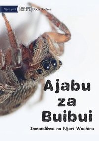 bokomslag Amazing Spiders - Ajaba zu Buibui