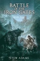 bokomslag Battle of the Iron Gates