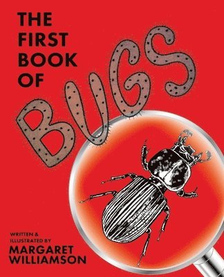 The First Book of Bugs 1