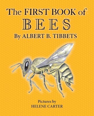 bokomslag The First Book of Bees