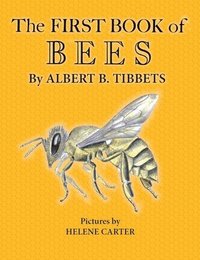 bokomslag The First Book of Bees