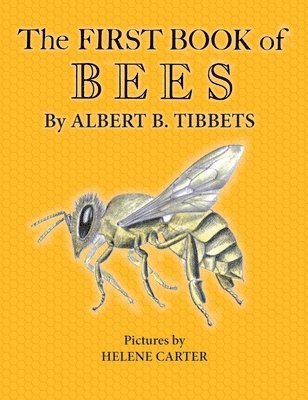 bokomslag First Book of Bees