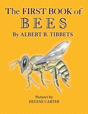 bokomslag The First Book of Bees