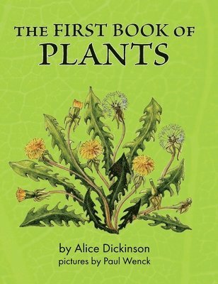 First Book of Plants