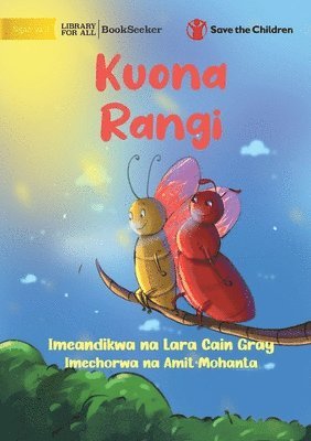 bokomslag Seeing Colours - Kuona Rangi