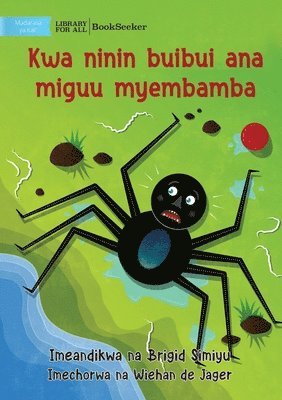 Why Spider Has Thin Legs - Kwa ninin buibui ana miguu myembamba 1