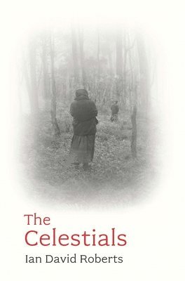 bokomslag The Celestials: Outcasts, Outlaws and Why Ned Kelly Yearned for China