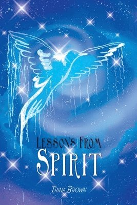 bokomslag Lessons from Spirit