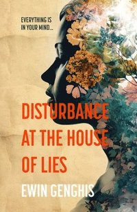 bokomslag Disturbance at the House of Lies