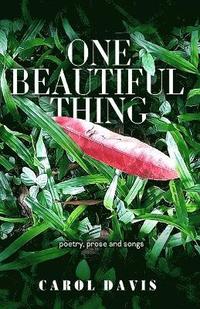 bokomslag One Beautiful Thing