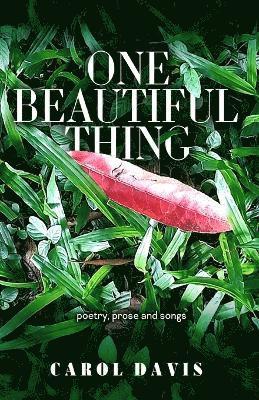 One Beautiful Thing 1