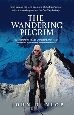 bokomslag Wandering Pilgrim