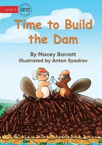 bokomslag Time to Build the Dam