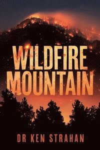 bokomslag Wildfire Mountain