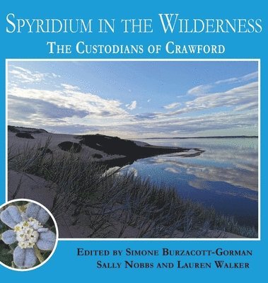 Spyridium in the Wilderness 1